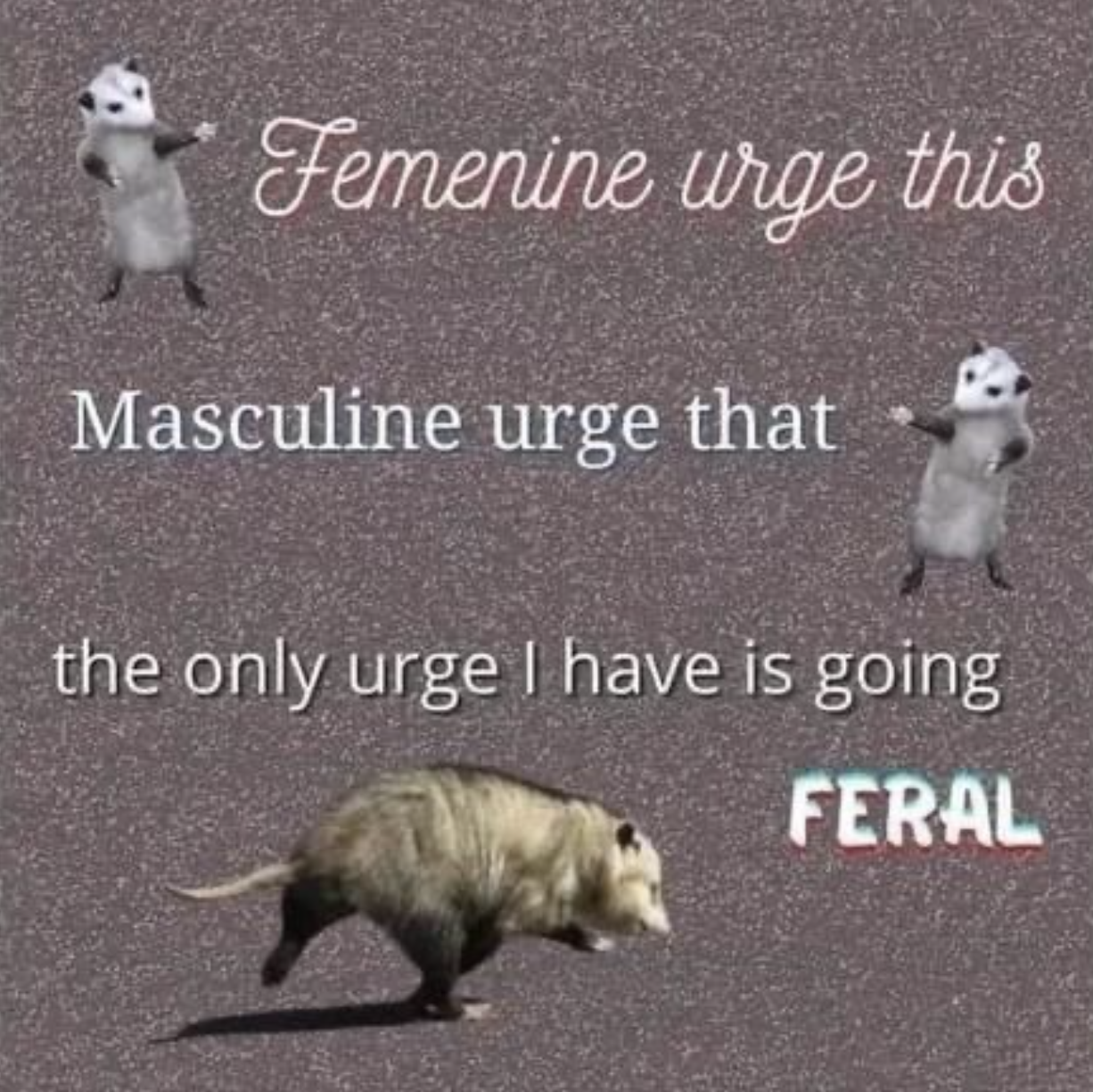 feminine urge this, masculine urge that, the only urge i have is going feral
